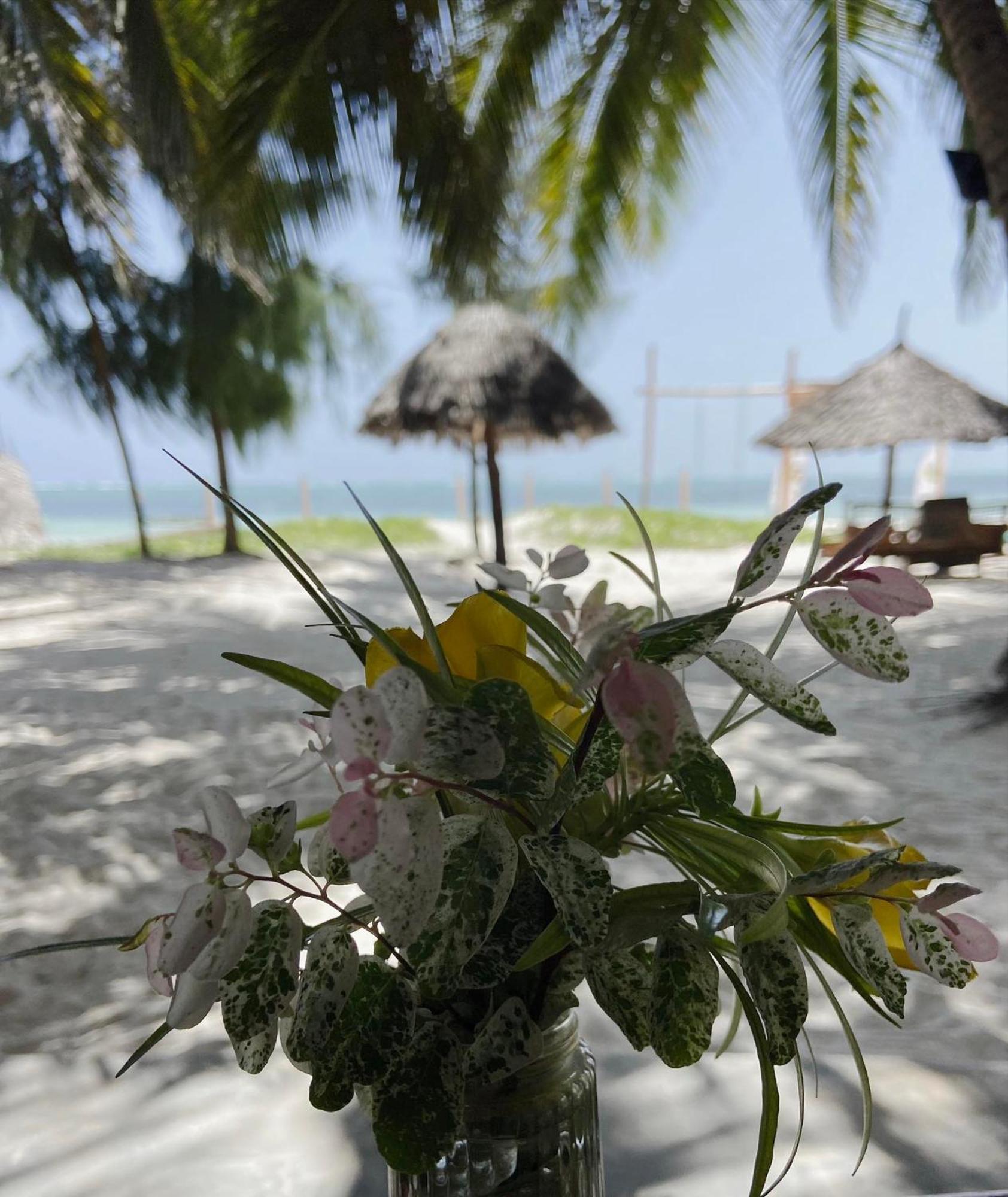 Mintaka Boutique Hotel Bwejuu Luaran gambar